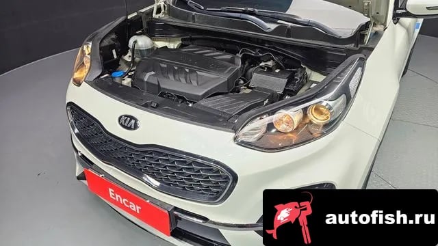 Kia Sportage Sportage The Bold 2019 года - вид 6