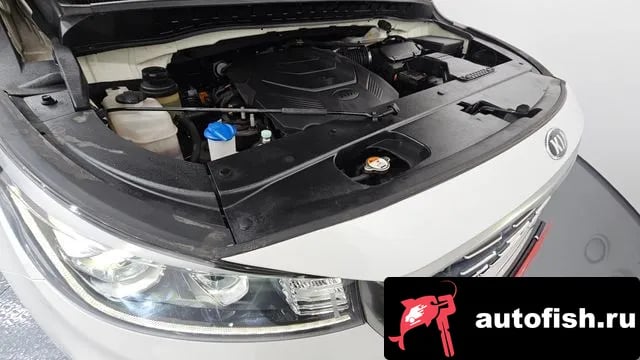 Kia Carnival The New Carnival 2019 года - вид 6