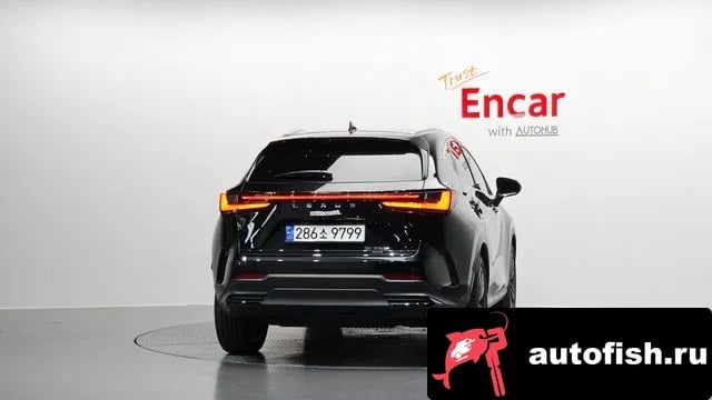 Lexus NX NX350h Second generation 2024 года - вид 4