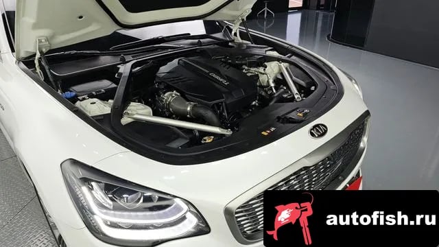 Kia K9 More K9 2018 года - вид 6