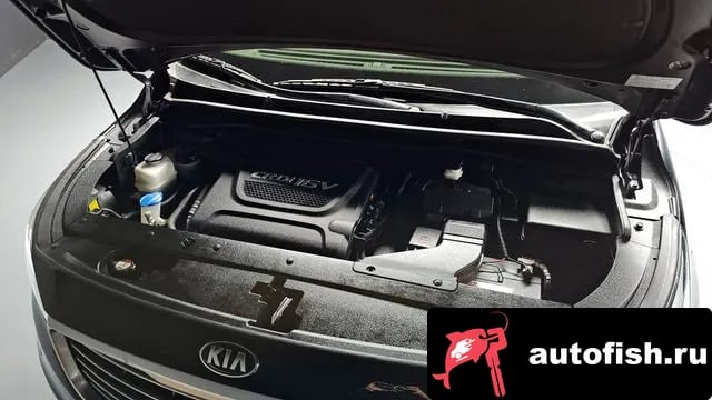 Kia Carnival All New Carnival 2017 года - вид 6