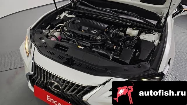 Lexus ES ES300h 7th generation 2024 года - вид 6