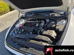 Миниатюра 6