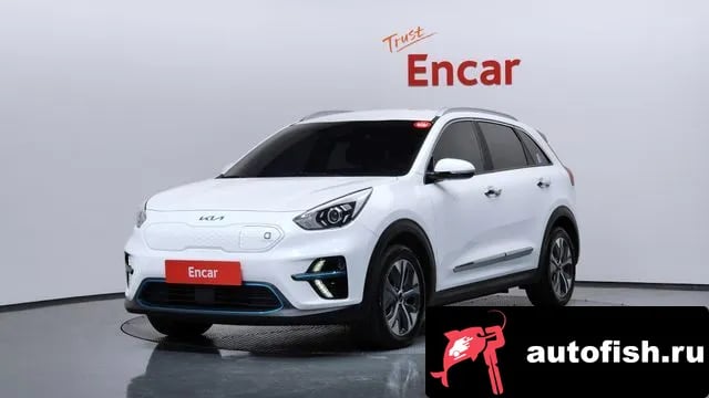 Kia Niro Niro EV 2021 года - вид 1