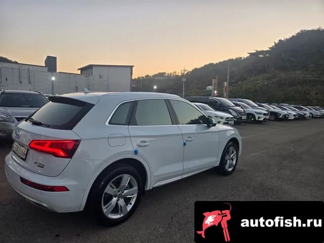 Audi Q5 Q5 (FY) 2020 года - вид 5