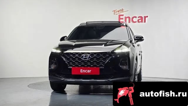 Hyundai Santafe San Tafe TM 2019 года - вид 3