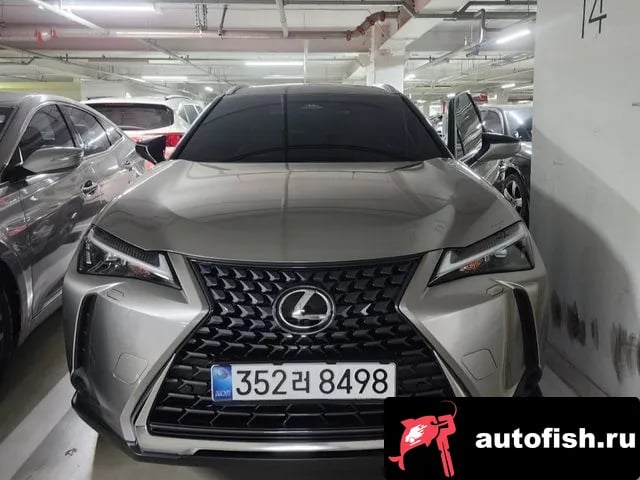 Lexus UX UX300h 2024 года - вид 3