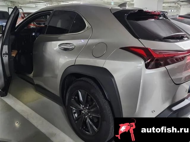 Lexus UX UX300h 2024 года - вид 4