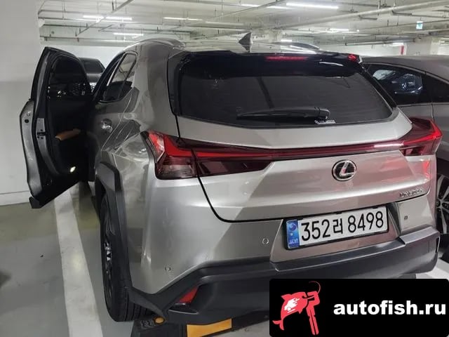 Lexus UX UX300h 2024 года - вид 5
