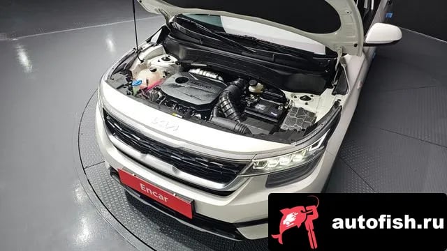 Kia Seltos Celtos 2022 года - вид 6