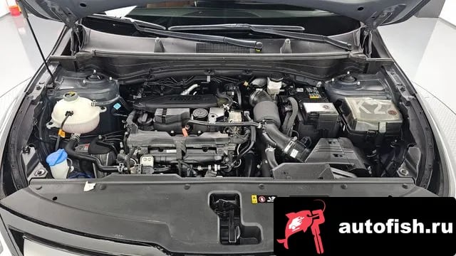 Kia Sportage Sportage 5th Generation 2022 года - вид 6