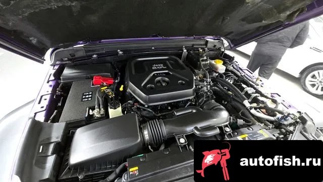 Jeep Wrangler Wrangler (JL) 2023 года - вид 6
