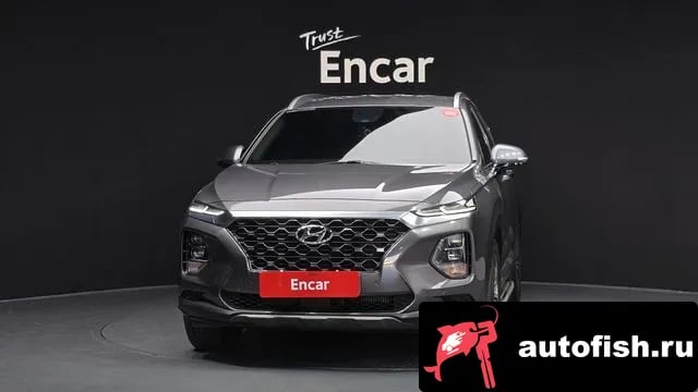 Hyundai Santafe San Tafe TM 2019 года - вид 3