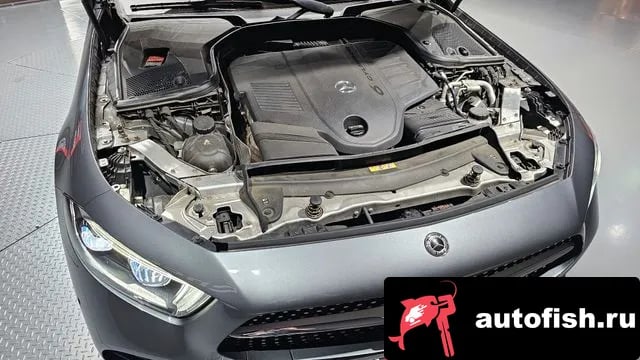 Mercedes-Benz CLS-Class CLS-Class C257 2020 года - вид 6