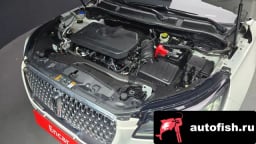 Миниатюра 6