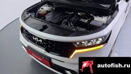 Миниатюра 6