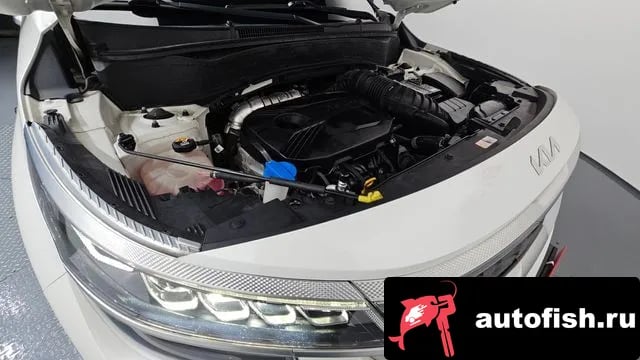 Kia Seltos Celtos 2022 года - вид 6