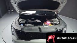 Миниатюра 6