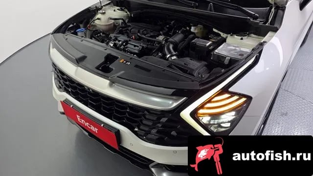 Kia Sportage Sportage 5th Generation 2023 года - вид 6