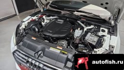 Миниатюра 6