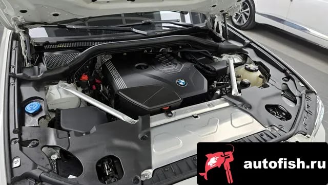 BMW X4 X4 (G02) 2021 года - вид 6