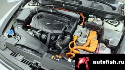 Миниатюра 6