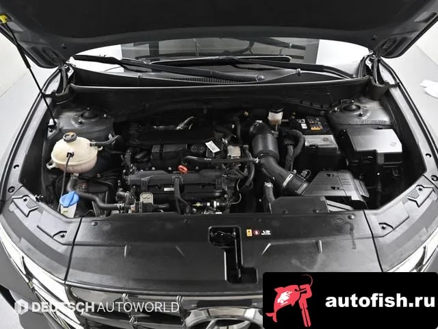 Hyundai Tucson Tucson (NX4) 2023 года - вид 6