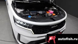 Миниатюра 6