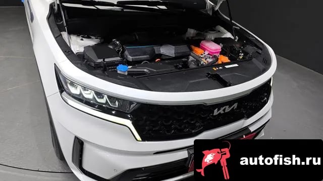 Kia Sorento Sorento 4th Generation 2022 года - вид 6