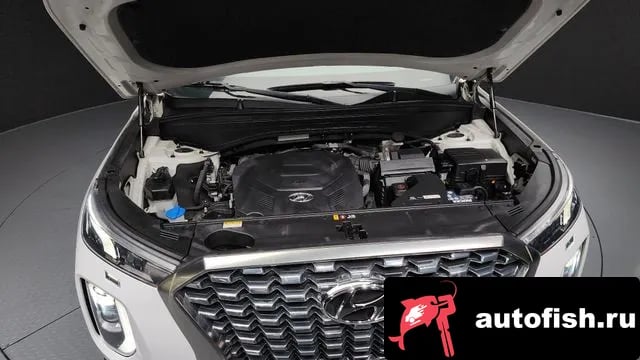 Hyundai Palisade Palisade 2019 года - вид 6