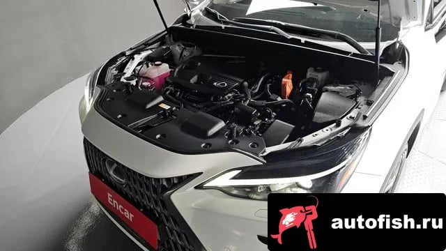 Lexus NX NX350h Second generation 2024 года - вид 6