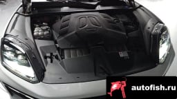 Миниатюра 6