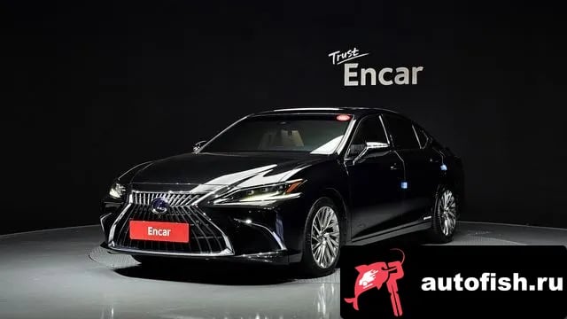 Lexus ES ES300h 7th generation 2022 года - вид 1