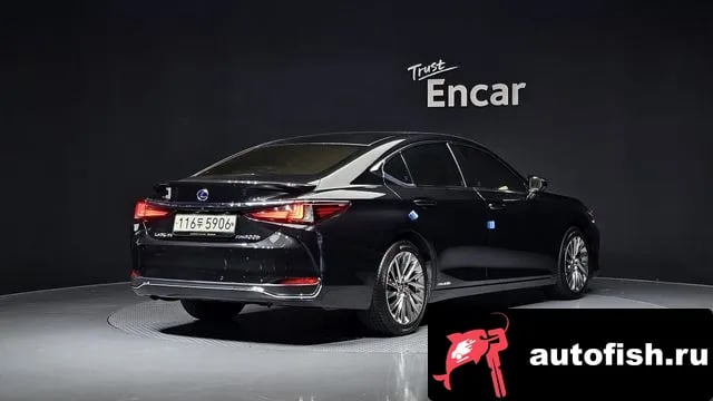 Lexus ES ES300h 7th generation 2022 года - вид 2
