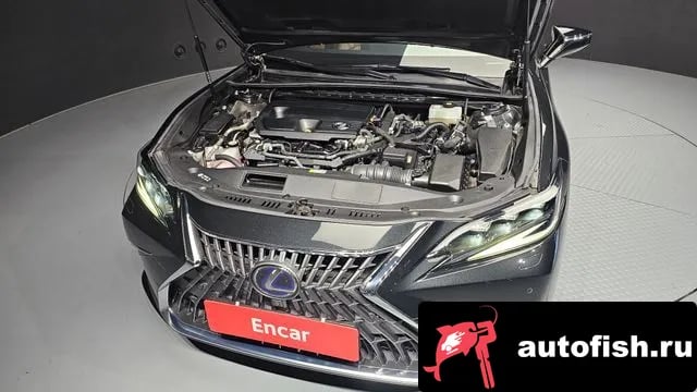 Lexus ES ES300h 7th generation 2022 года - вид 6