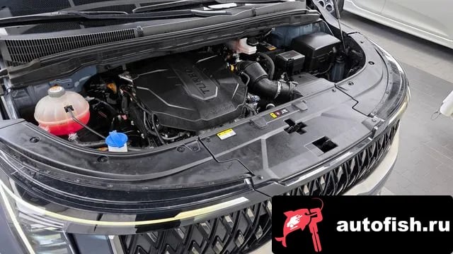 Kia Carnival The New Carnival 4th Generation 2024 года - вид 6