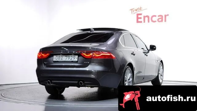 Jaguar XF XF (X260) 2019 года - вид 2