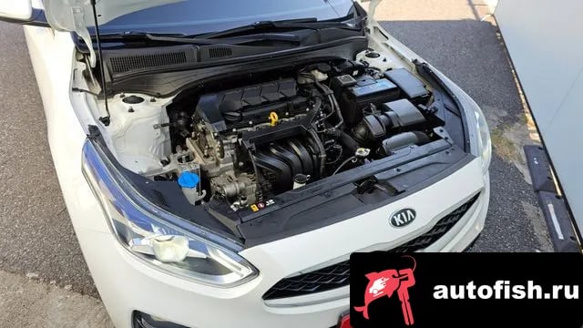 Kia K3 Come New K3 2019 года - вид 6