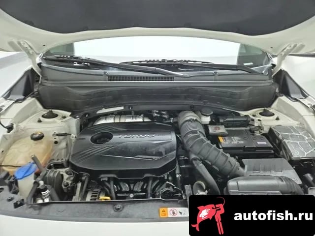 Kia Seltos Celtos 2022 года - вид 5