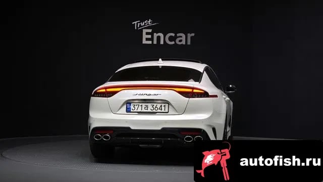 Kia Stinger Stinger Meister 2020 года - вид 4