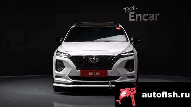 Hyundai Santafe San Tafe TM 2019 года - вид 3