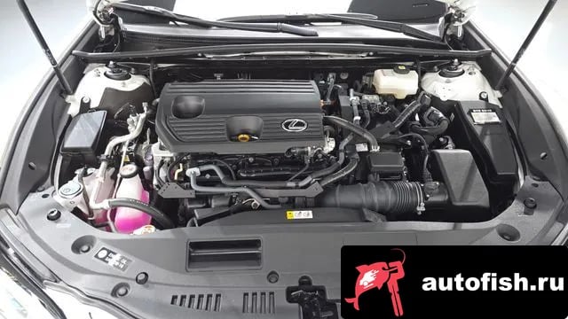 Lexus ES ES300h 7th generation 2024 года - вид 6