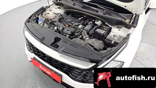 Kia Sportage Sportage 5th Generation 2024 года - вид 6