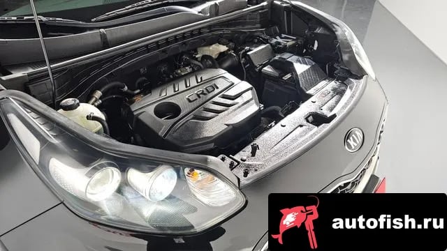 Kia Sportage Sportage The Bold 2019 года - вид 6