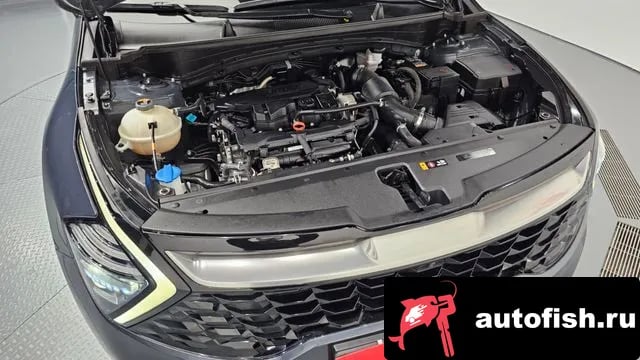 Kia Sportage Sportage 5th Generation 2021 года - вид 6