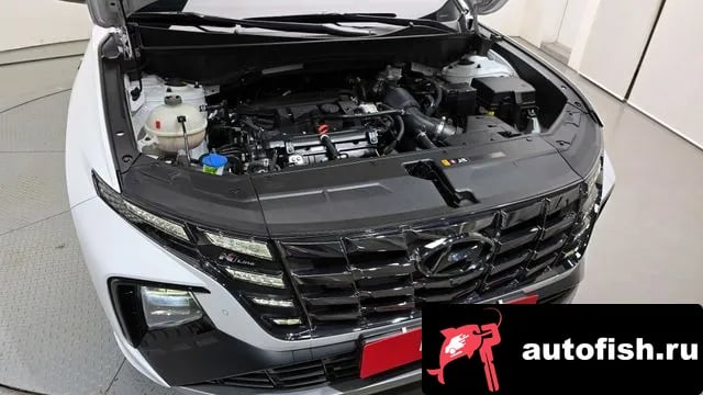 Hyundai Tucson Tucson (NX4) 2023 года - вид 6