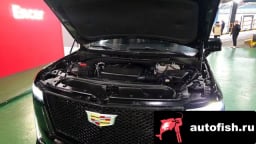 Миниатюра 6