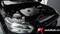 Миниатюра 6