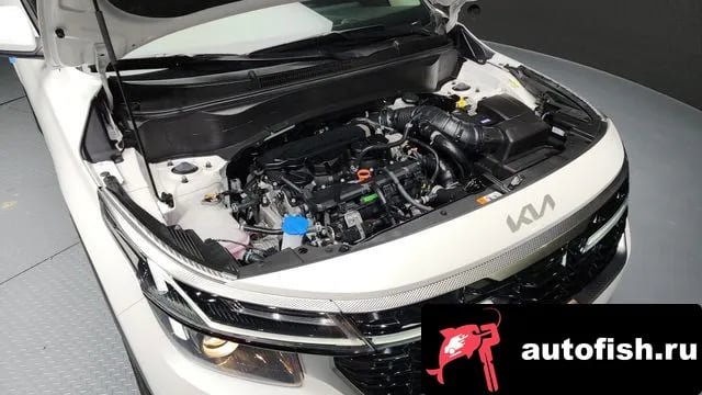 Kia Seltos The New Celtos 2024 года - вид 6