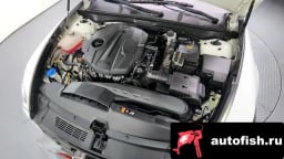 Миниатюра 6